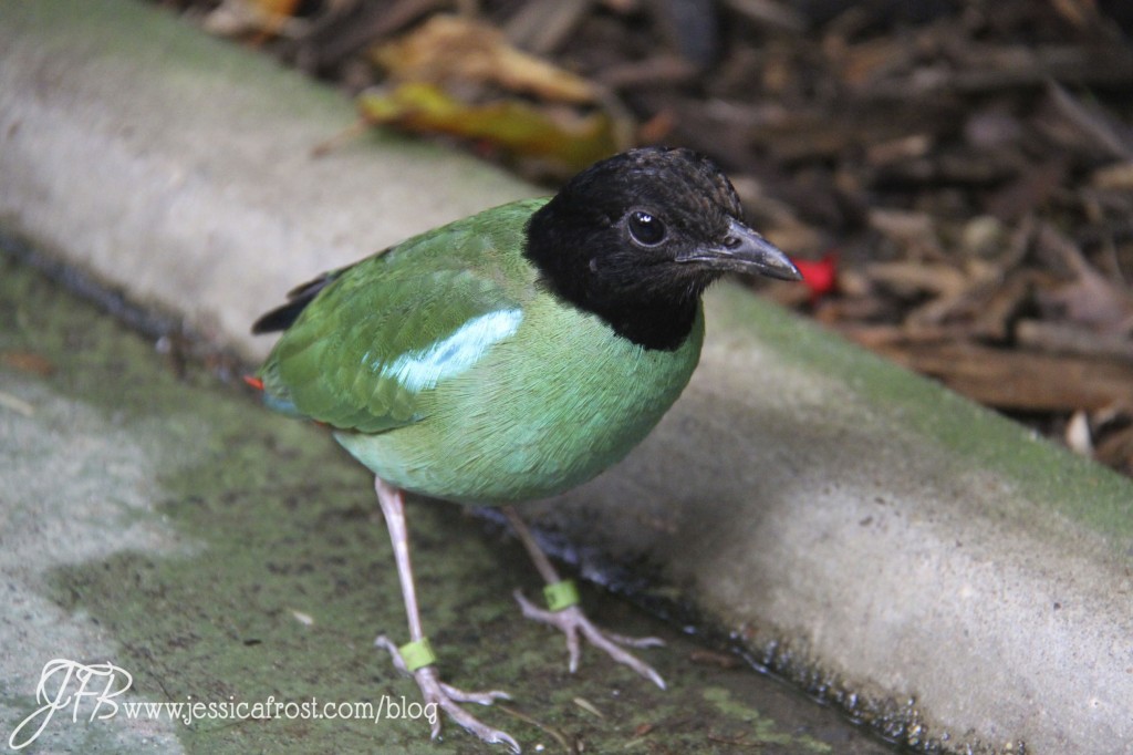 The big 30!! (part 2) all the sparkle