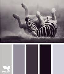 July+5th+Color+combo