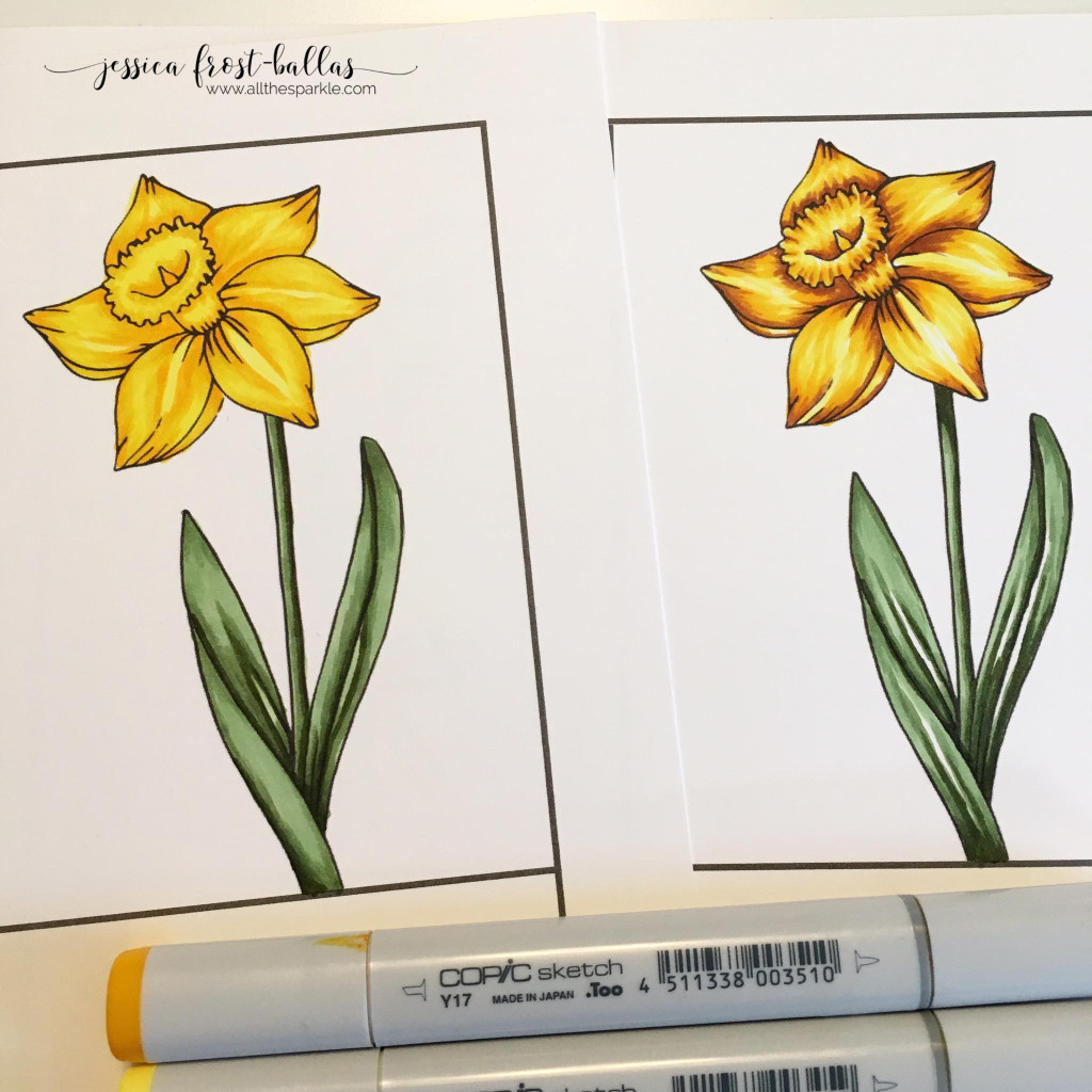 daffodil