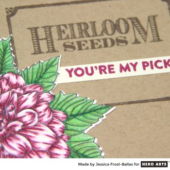 You're My Pick by Jessica Frost-Ballas for Hero Arts