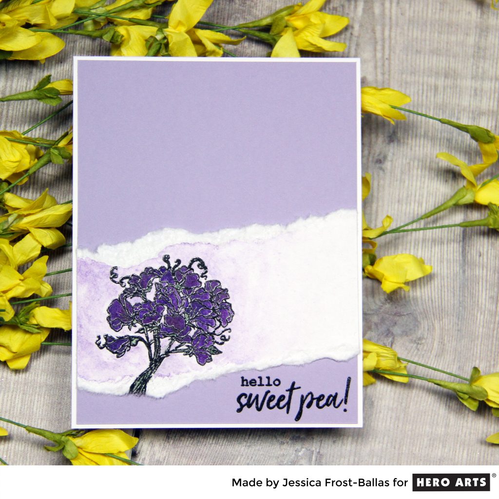 Hello Sweet Pea by Jessica Frost-Ballas for Hero Arts