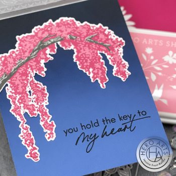 January My Monthly Hero Kit by Jessica Frost-Ballas for Hero Arts
